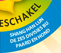 Bijscholing: Shang Han Lun – de zes divisies bij paard en hond